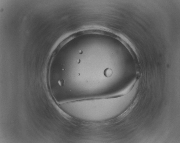 X0000051241438200506241510