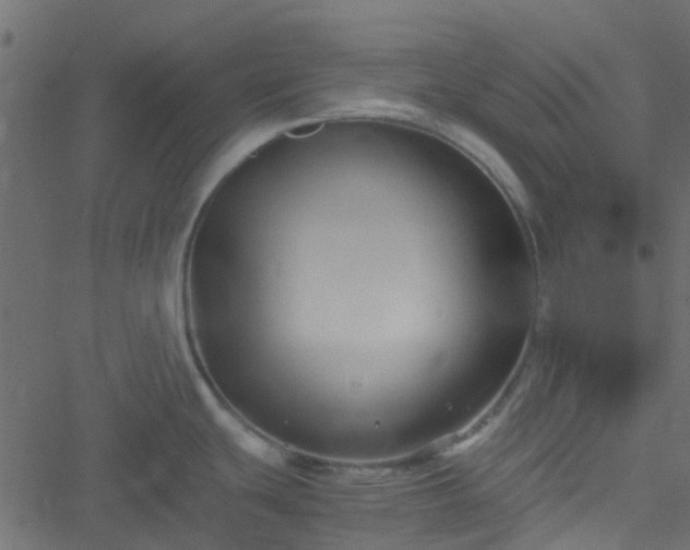 X0000051241439200506241510