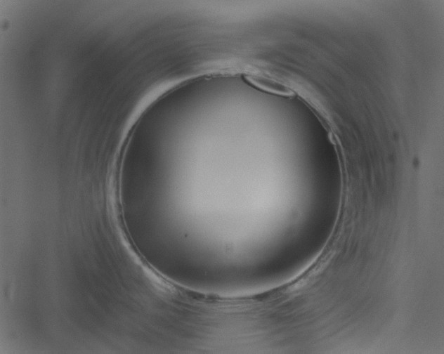 X0000051241440200506241510