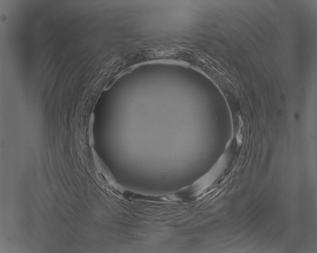 X0000051241441200506241509