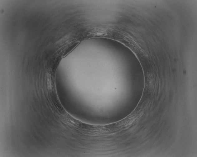 X0000051241442200506241509