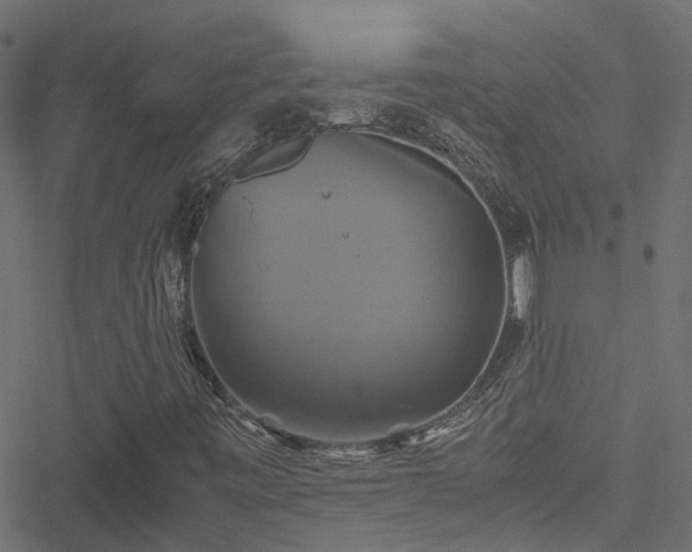 X0000051241443200506241509