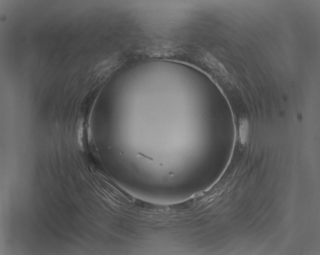 X0000051241444200506241509