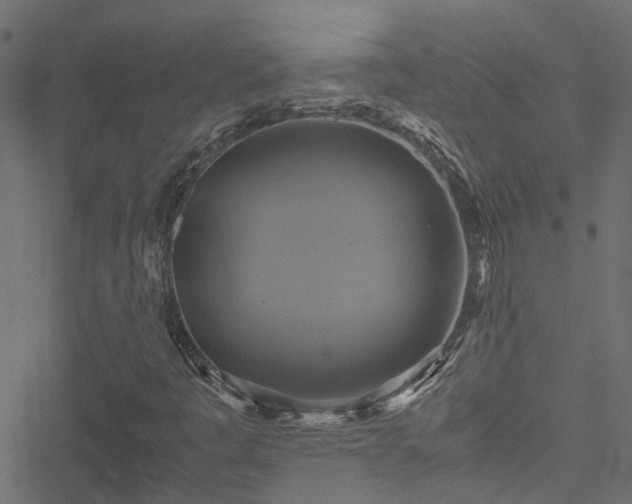 X0000051241445200506241509