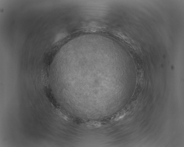 X0000051241446200506241509