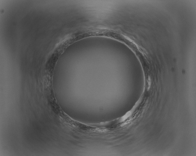 X0000051241447200506241509