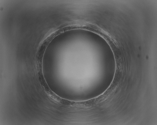 X0000051241448200506241509