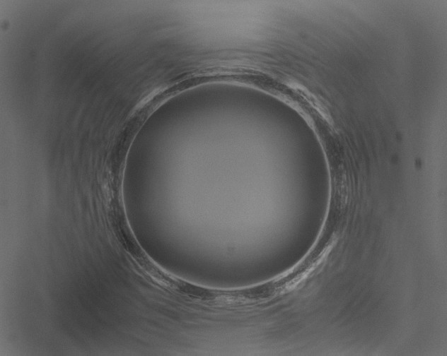 X0000051241449200506241509