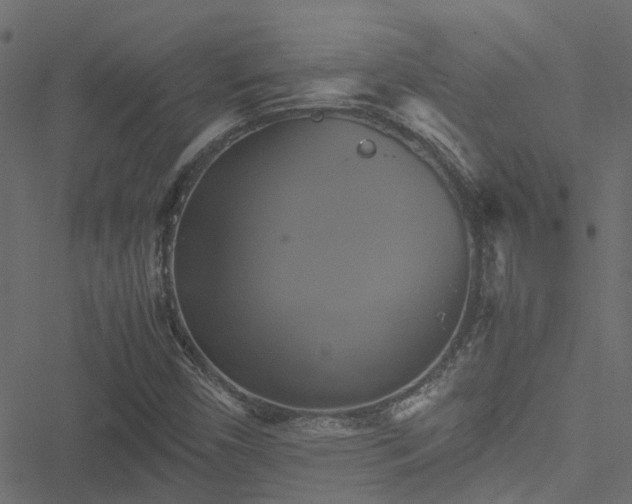 X0000051241450200506241509