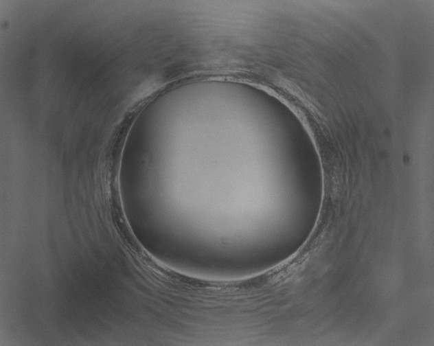 X0000051241451200506241509