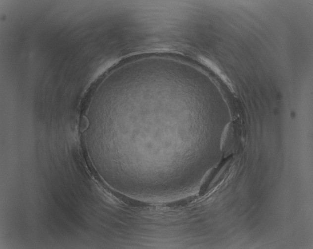 X0000051241452200506241509