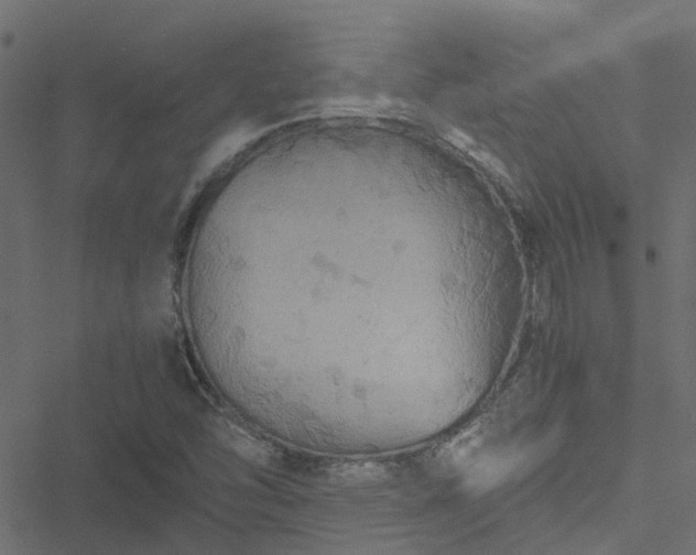 X0000051241454200506241509