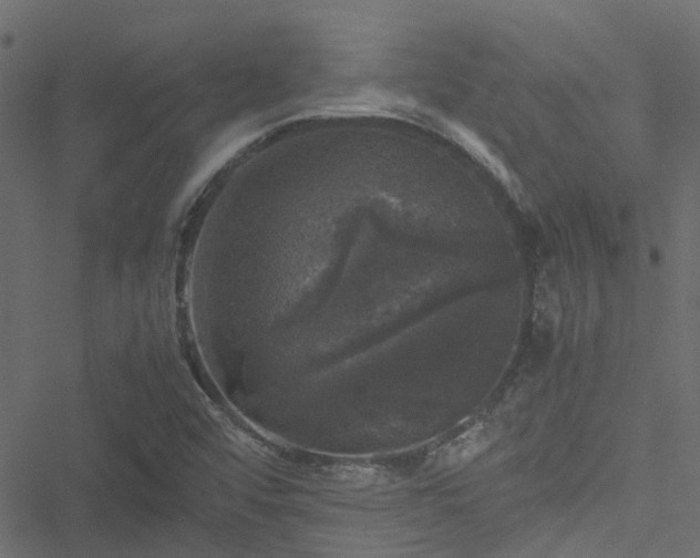 X0000051241456200506241509