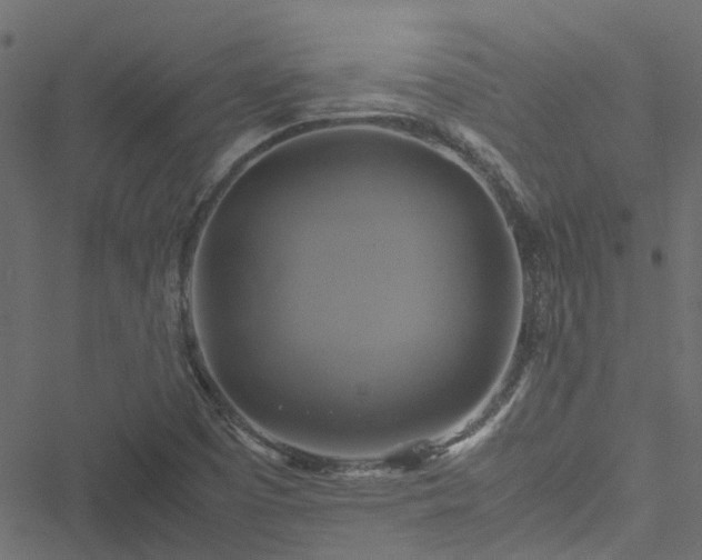 X0000051241457200506241509