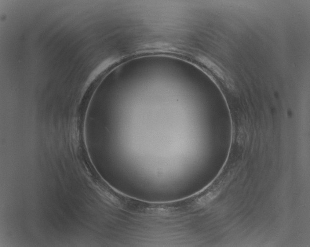 X0000051241458200506241509