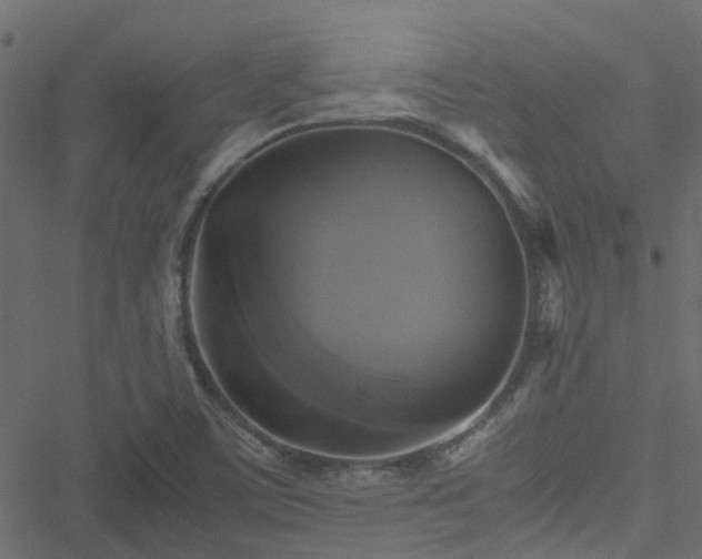 X0000051241459200506241509