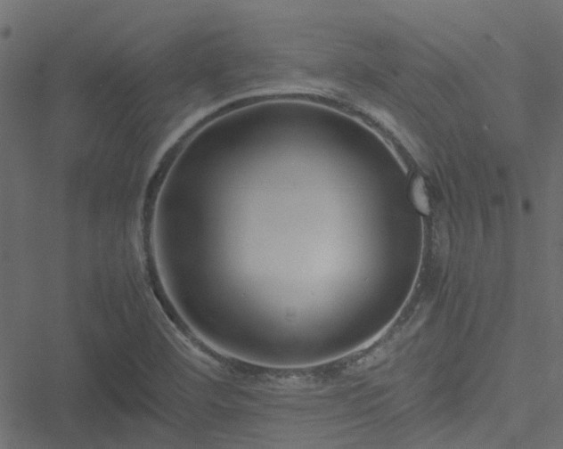 X0000051241460200506241509