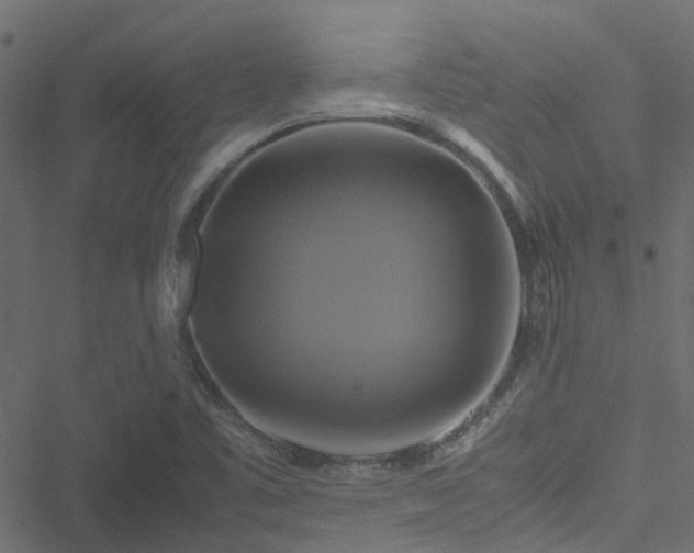 X0000051241461200506241509