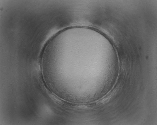 X0000051241462200506241509