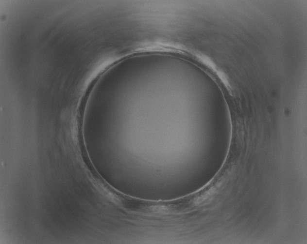 X0000051241463200506241509