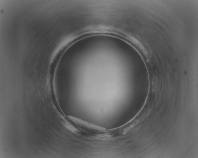 X0000051241464200506241509