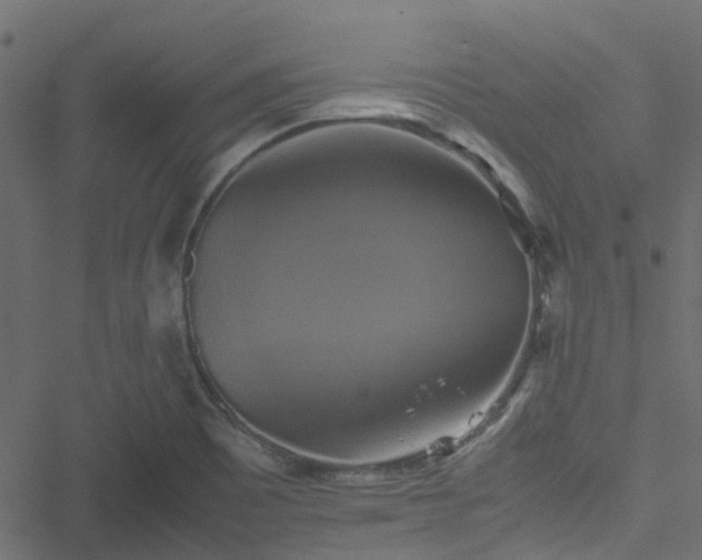 X0000051241465200506241509