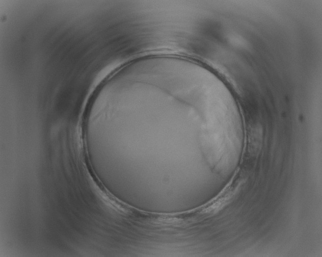 X0000051241466200506241509