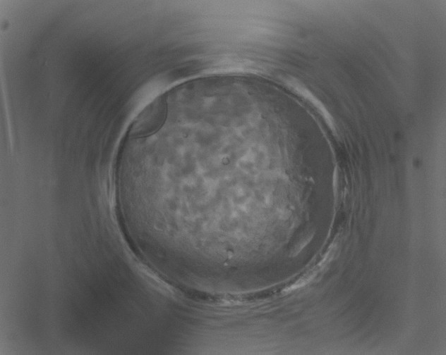 X0000051241467200506241509