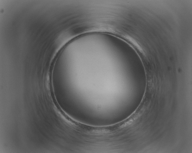 X0000051241468200506241509