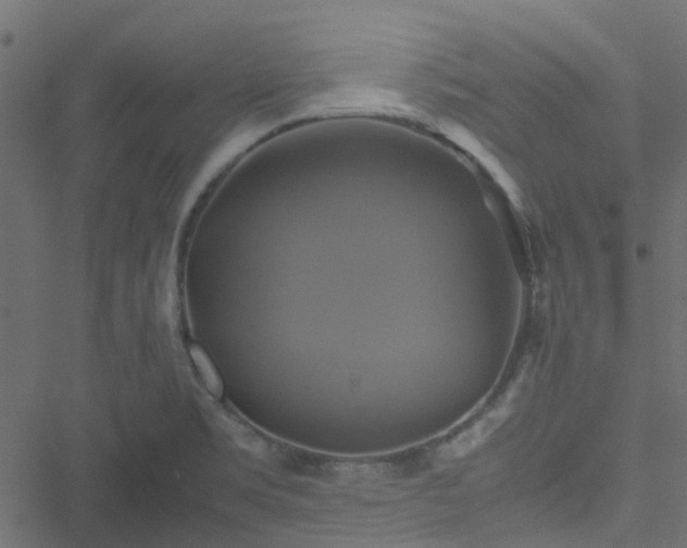 X0000051241469200506241509