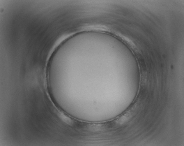 X0000051241470200506241509