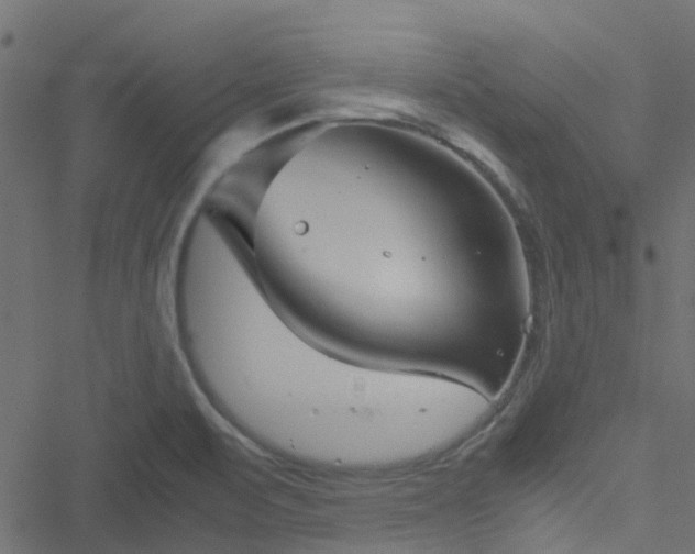 X0000051241471200506241509