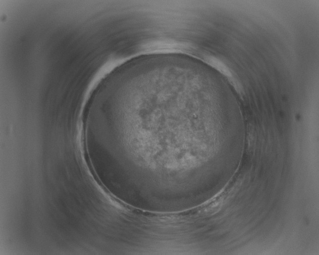 X0000051241472200506241509