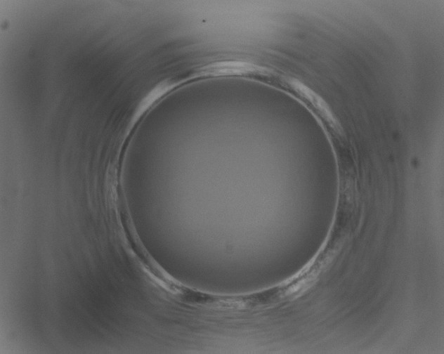 X0000051241473200506241509