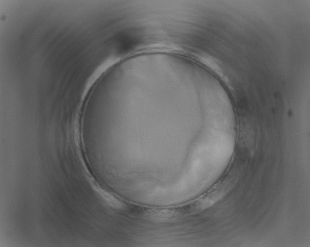 X0000051241474200506241509