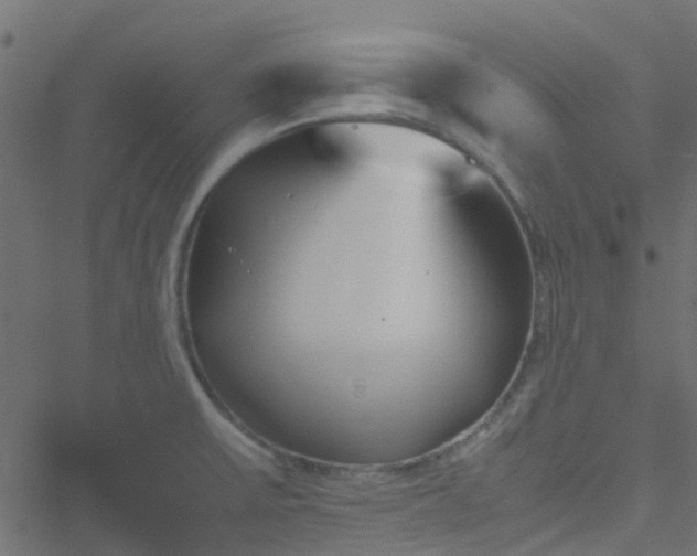 X0000051241475200506241509