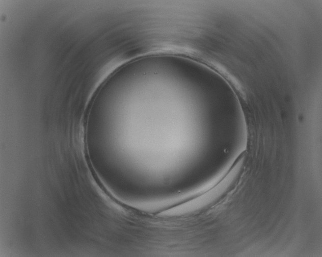 X0000051241476200506241509