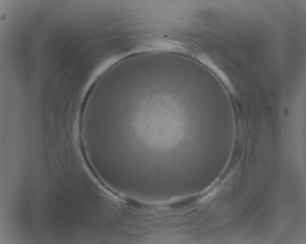 X0000051241477200506241509