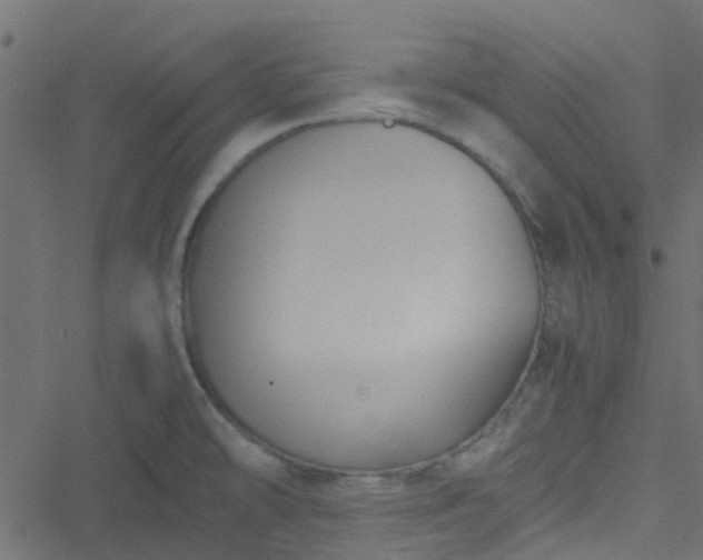 X0000051241478200506241509