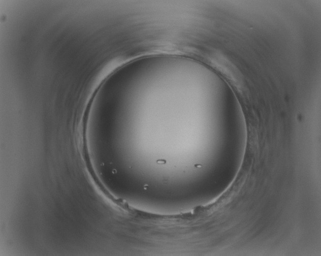 X0000051241479200506241509