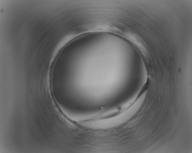 X0000051241480200506241509