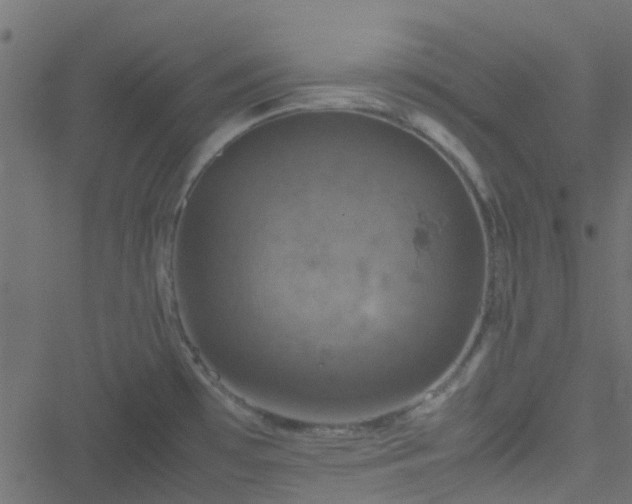 X0000051241481200506241509