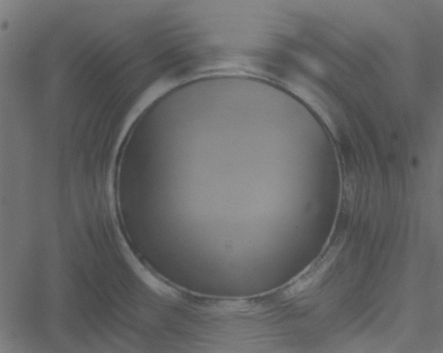 X0000051241482200506241509