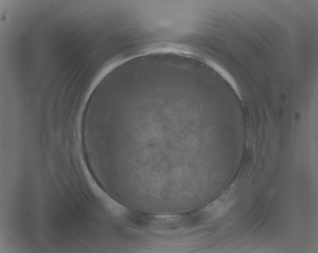 X0000051241483200506241509