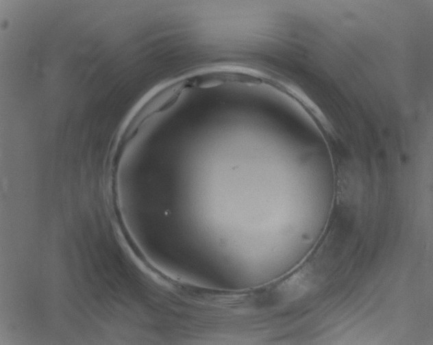 X0000051241484200506241509