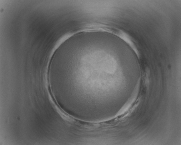 X0000051241485200506241509