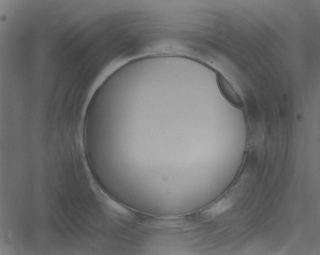 X0000051241486200506241509