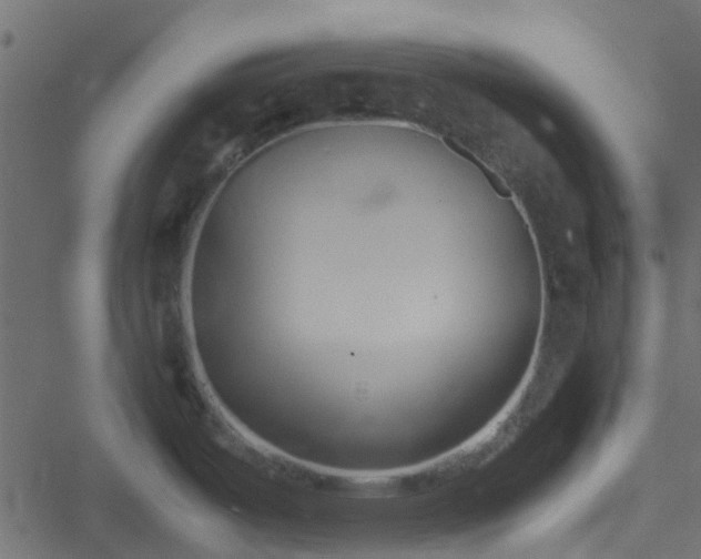 X0000051241487200506241509