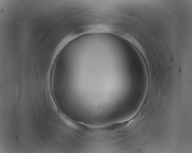 X0000051241488200506241509