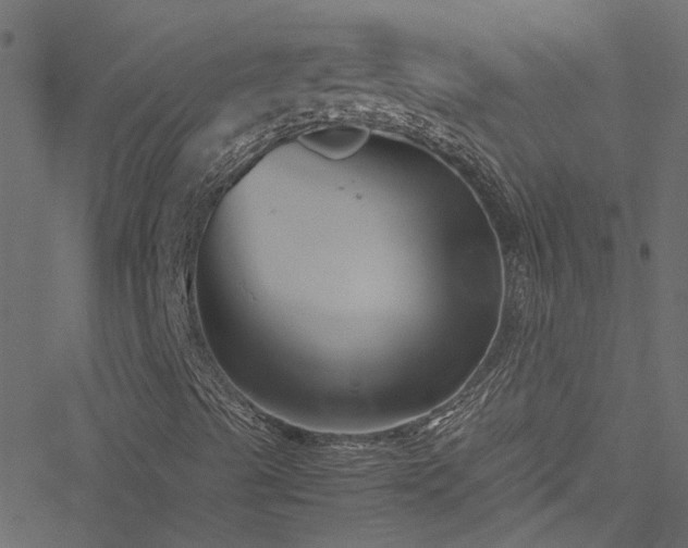 X0000051241489200506241508